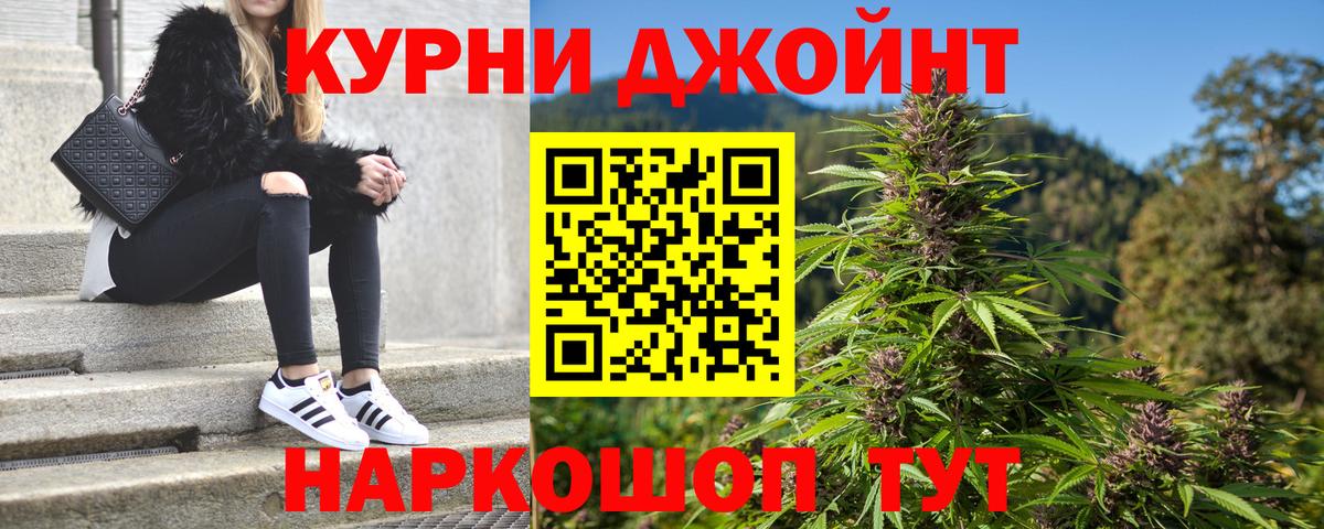 Марихуана сатива Мценск